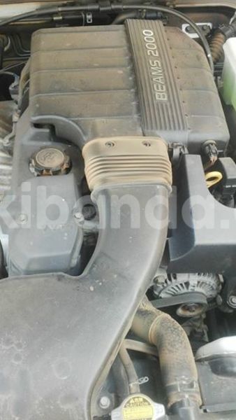 Big with watermark 15578737 1281570078576389 5086098407229006862 n