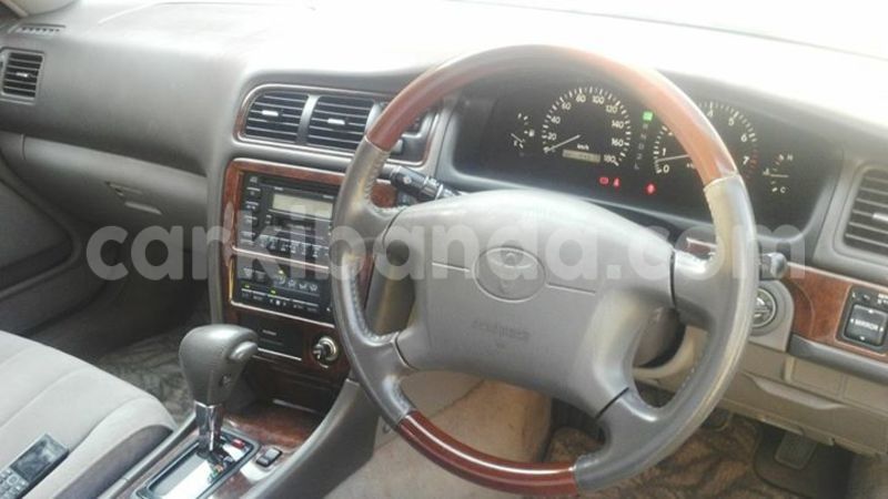 Big with watermark 15590123 1873629849587474 5620022596992670559 n