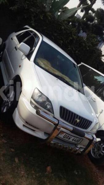 Big with watermark 15284065 1129442633839910 5230908860684797680 n