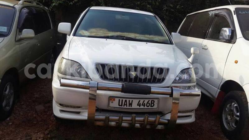 Big with watermark 15285033 1129442643839909 5134408343826197814 n