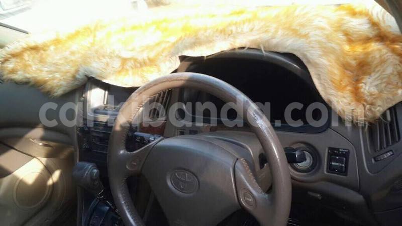 Big with watermark 15578737 1281570078576389 5086098407229006862 n