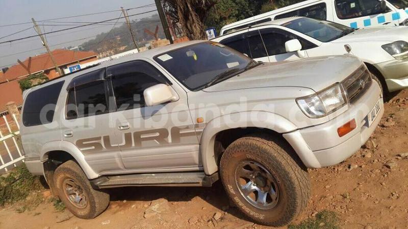 Big with watermark 15284065 1129442633839910 5230908860684797680 n