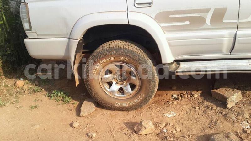 Big with watermark 15285033 1129442643839909 5134408343826197814 n