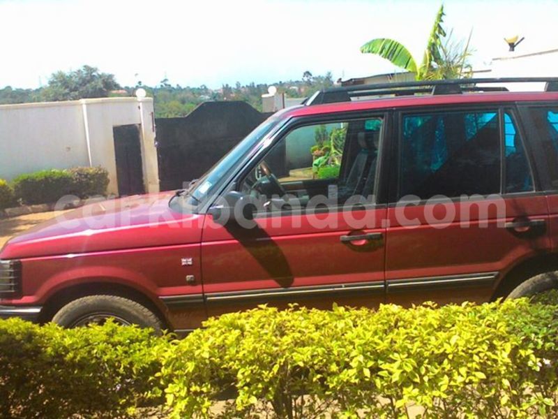 Big with watermark 15284065 1129442633839910 5230908860684797680 n