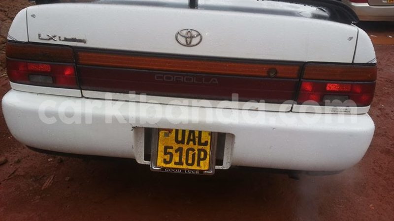 Big with watermark 15285033 1129442643839909 5134408343826197814 n