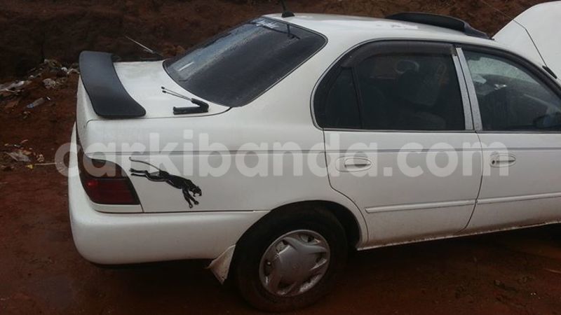 Big with watermark 15578737 1281570078576389 5086098407229006862 n