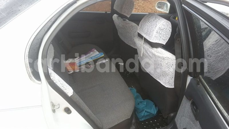 Big with watermark 16195545 964543743682119 5411391990017441485 n