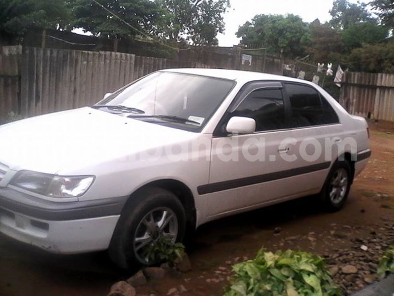 Big with watermark 15590123 1873629849587474 5620022596992670559 n