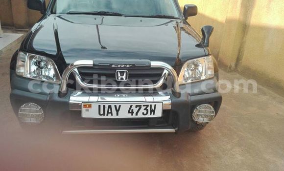 Buy Used Honda CR-V Black Car in Kampala in Uganda Buy Used Honda CR-V Black Car in Kampala in Uganda