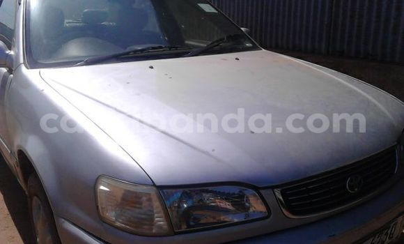Buy Used Toyota Corolla Silver Car in Gulu in Uganda Buy Used Toyota Corolla Silver Car in Gulu in Uganda