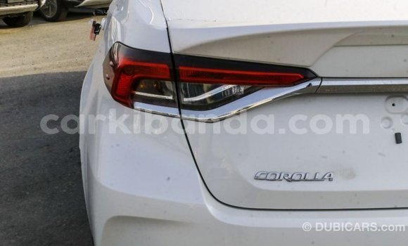 Buy Import Toyota Corolla White Car in Import - Dubai in Uganda Buy Import Toyota Corolla White Car in Import - Dubai in Uganda
