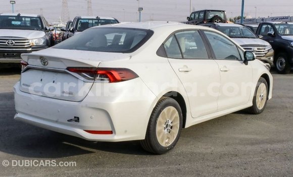 Buy Import Toyota Corolla White Car in Import - Dubai in Uganda Buy Import Toyota Corolla White Car in Import - Dubai in Uganda