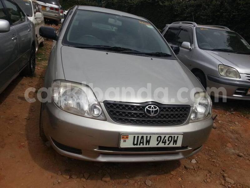 Big with watermark 15590123 1873629849587474 5620022596992670559 n