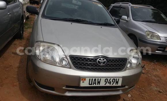 Buy Used Toyota Corolla Silver Car in Kampala in Uganda Buy Used Toyota Corolla Silver Car in Kampala in Uganda