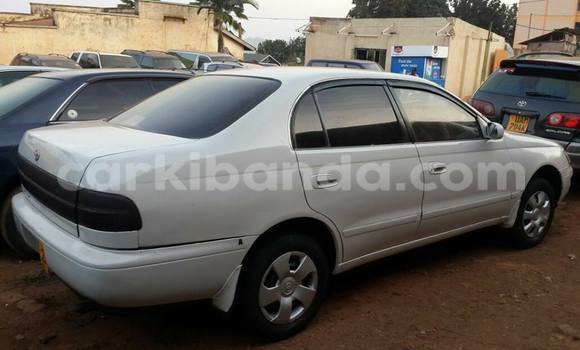 Gura Yakoze Toyota Corolla Silver Imodoka i Kampala mu Uganda Gura Yakoze Toyota Corolla Silver Imodoka i Kampala mu Uganda