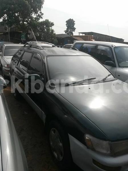 Big with watermark 15578737 1281570078576389 5086098407229006862 n