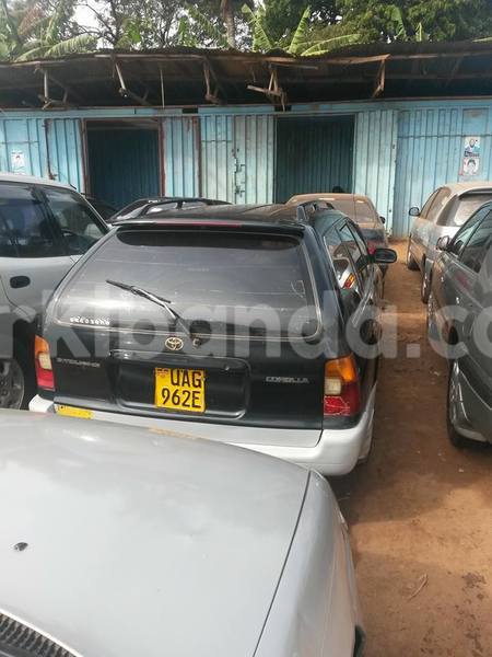 Big with watermark 15285033 1129442643839909 5134408343826197814 n