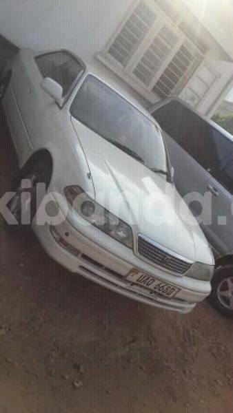 Big with watermark 15285033 1129442643839909 5134408343826197814 n