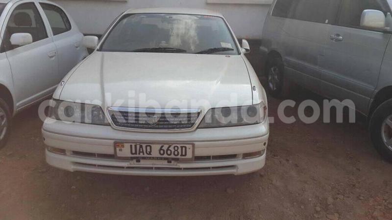 Big with watermark 15578737 1281570078576389 5086098407229006862 n