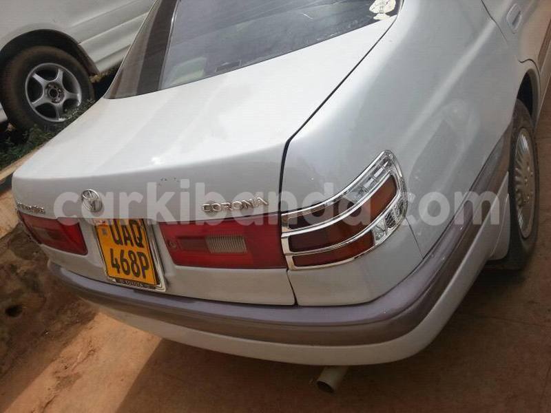 Big with watermark 15578737 1281570078576389 5086098407229006862 n