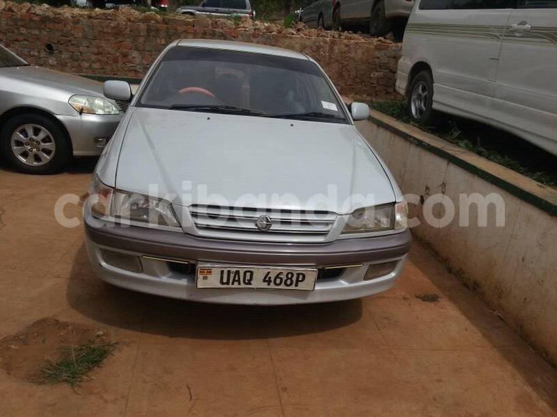 Big with watermark 15590123 1873629849587474 5620022596992670559 n