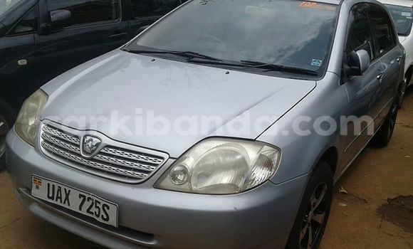 Gura Yakoze Toyota Allex Silver Imodoka i Kampala mu Uganda Gura Yakoze Toyota Allex Silver Imodoka i Kampala mu Uganda