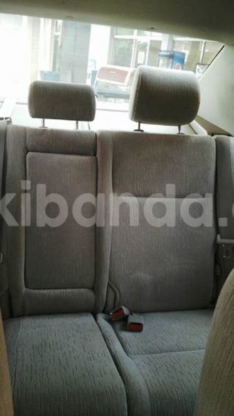 Big with watermark 16195545 964543743682119 5411391990017441485 n