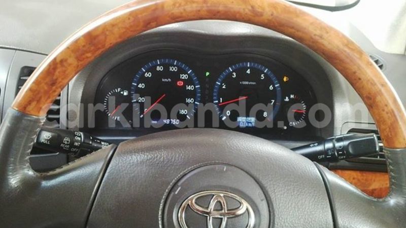 Big with watermark 15590123 1873629849587474 5620022596992670559 n