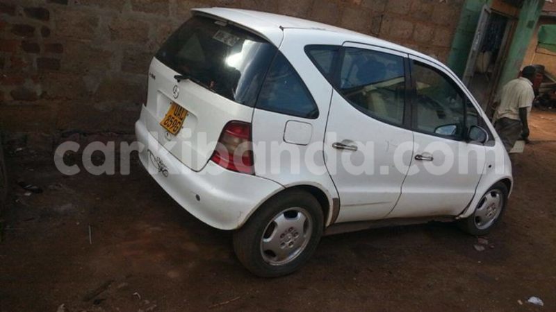 Big with watermark 15285033 1129442643839909 5134408343826197814 n