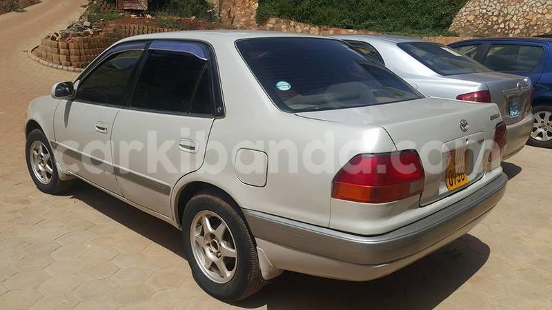 Big with watermark 15590123 1873629849587474 5620022596992670559 n