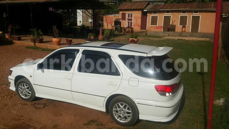 Big with watermark 15578737 1281570078576389 5086098407229006862 n