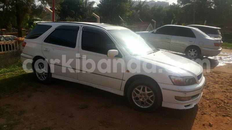 Big with watermark 16195545 964543743682119 5411391990017441485 n