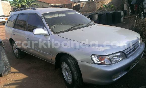 Buy Used Toyota Corolla Silver Car in Kampala in Uganda Buy Used Toyota Corolla Silver Car in Kampala in Uganda