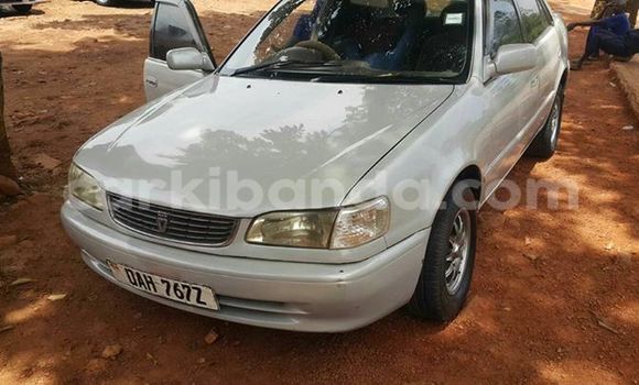 Gura Yakoze Toyota Corolla Silver Imodoka i Kampala mu Uganda Gura Yakoze Toyota Corolla Silver Imodoka i Kampala mu Uganda