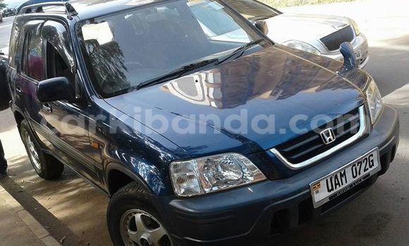 Buy Used Honda CR-V Blue Car in Kampala in Uganda Buy Used Honda CR-V Blue Car in Kampala in Uganda