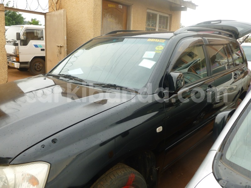 Big with watermark 9