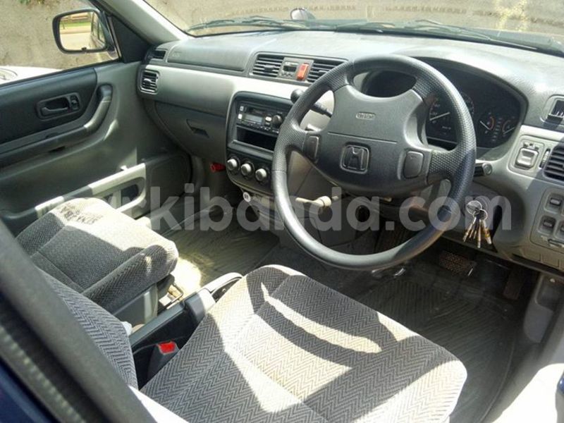 Big with watermark 16684261 1284056601632011 8943575257685139748 n