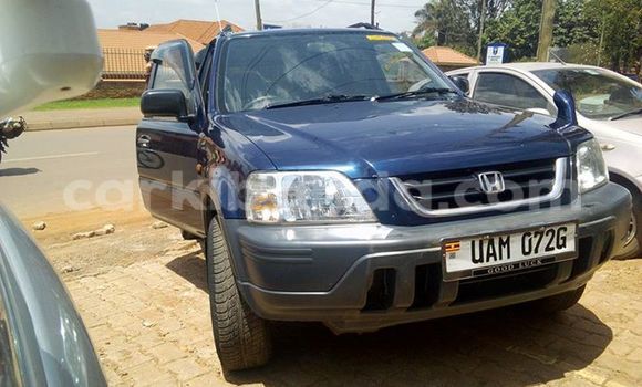 Buy Used Honda CR-V Blue Car in Kampala in Uganda Buy Used Honda CR-V Blue Car in Kampala in Uganda
