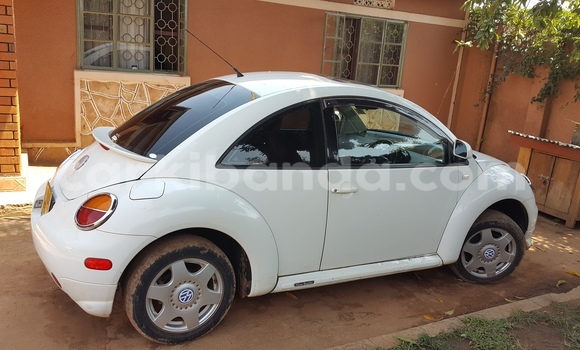 Buy Used Volkswagen Beetle White Car in Arua in Uganda Buy Used Volkswagen Beetle White Car in Arua in Uganda