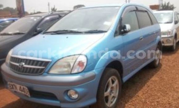 Buy Used Toyota Noah Blue Car in Arua in Uganda