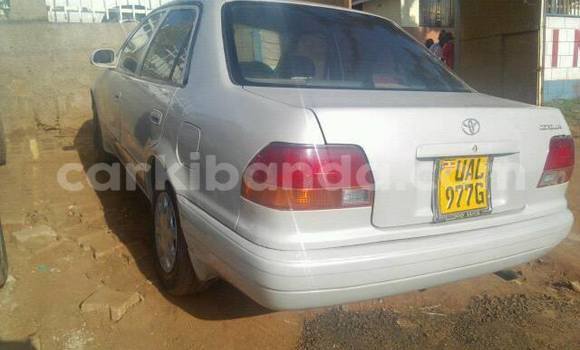 Buy Used Toyota Corolla Silver Car in Kampala in Uganda Buy Used Toyota Corolla Silver Car in Kampala in Uganda