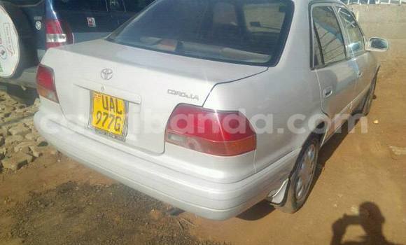 Buy Used Toyota Corolla Silver Car in Kampala in Uganda Buy Used Toyota Corolla Silver Car in Kampala in Uganda