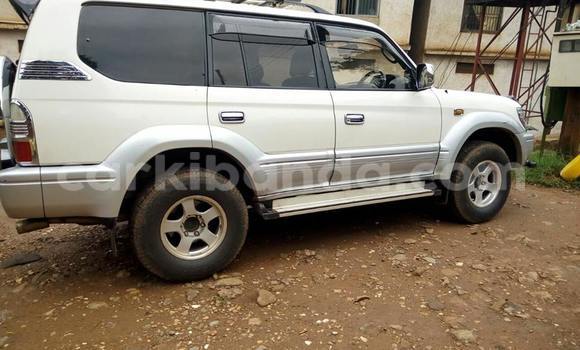 Buy Used Toyota Prado White Car in Kampala in Uganda Buy Used Toyota Prado White Car in Kampala in Uganda