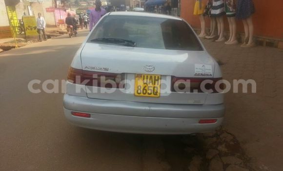 Buy Used Toyota Premio Silver Car in Kampala in Uganda Buy Used Toyota Premio Silver Car in Kampala in Uganda