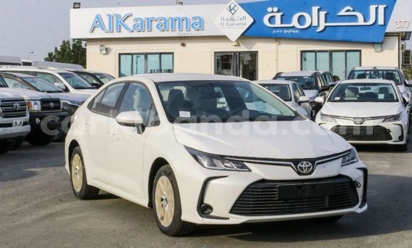 Buy Import Toyota Corolla White Car in Import - Dubai in Uganda Buy Import Toyota Corolla White Car in Import - Dubai in Uganda