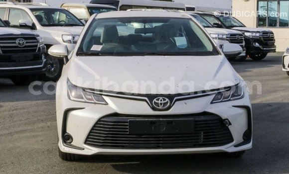 Buy Import Toyota Corolla White Car in Import - Dubai in Uganda Buy Import Toyota Corolla White Car in Import - Dubai in Uganda