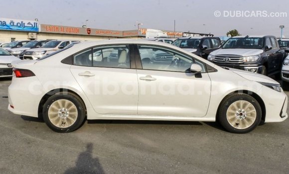 Buy Import Toyota Corolla White Car in Import - Dubai in Uganda Buy Import Toyota Corolla White Car in Import - Dubai in Uganda