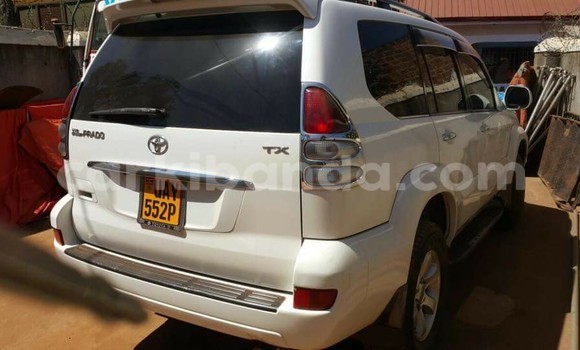 Buy Used Toyota Prado White Car in Kampala in Uganda Buy Used Toyota Prado White Car in Kampala in Uganda