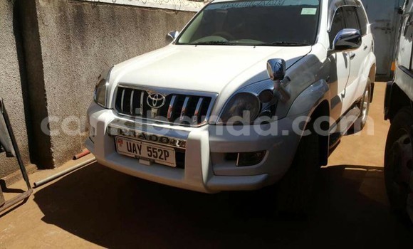 Buy Used Toyota Prado White Car in Kampala in Uganda Buy Used Toyota Prado White Car in Kampala in Uganda