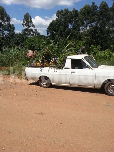 Big with watermark 16265183 1284429024956141 5754992797401084802 n